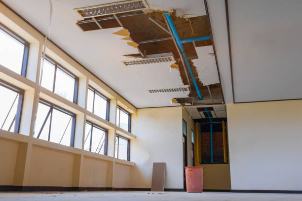 Best Flood restoration services  in Tatum, TX