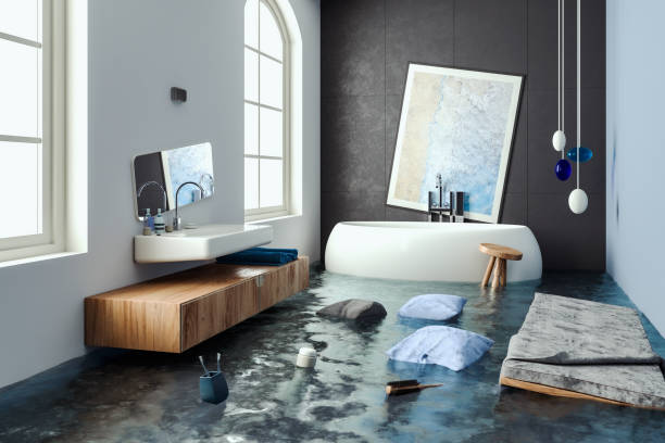 Best Mold removal after water damage  in Tatum, TX