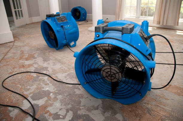Best Ceiling water damage repair  in Tatum, TX