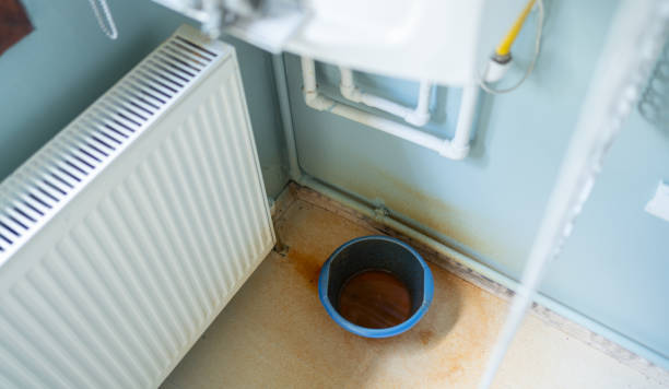 Best Sewage cleanup and water damage restoration  in Tatum, TX